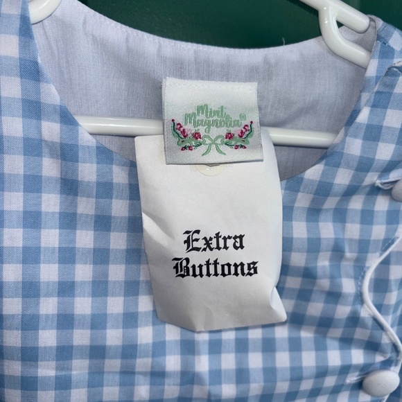 NEW size 10 Mint Magnolia Sara Shift Ballantyne BLue gingham - Picture 6 of 7